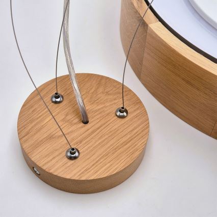 Brilagi - LED RGBW stmievateľný luster na lane CARVALHO 2xE27/15W/230V 2700-6500K Wi-Fi dub priemer 37 cm