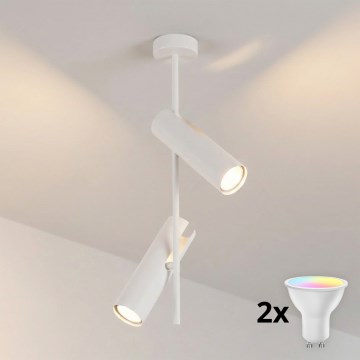 Brilagi - LED RGBW stmievateľný luster na tyči BRANCH 2xGU10/6,5W/230V 2700-6500K biela