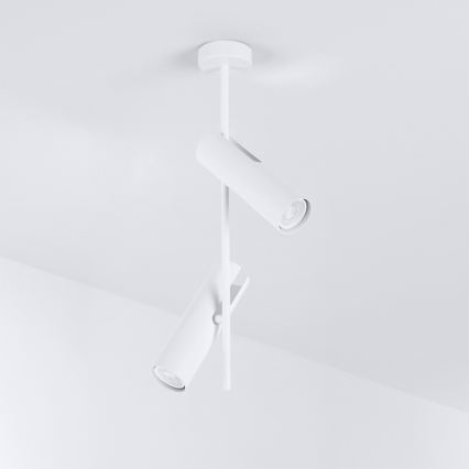 Brilagi - LED RGBW stmievateľný luster na tyči BRANCH 2xGU10/6,5W/230V 2700-6500K biela