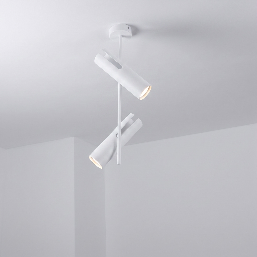 Brilagi - LED RGBW stmievateľný luster na tyči BRANCH 2xGU10/6,5W/230V 2700-6500K biela