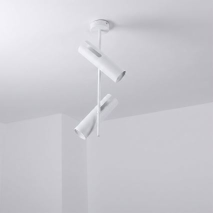 Brilagi - LED RGBW stmievateľný luster na tyči BRANCH 2xGU10/6,5W/230V 2700-6500K biela