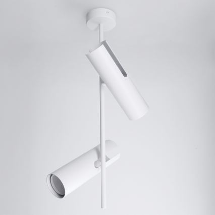 Brilagi - LED RGBW stmievateľný luster na tyči BRANCH 2xGU10/6,5W/230V 2700-6500K biela