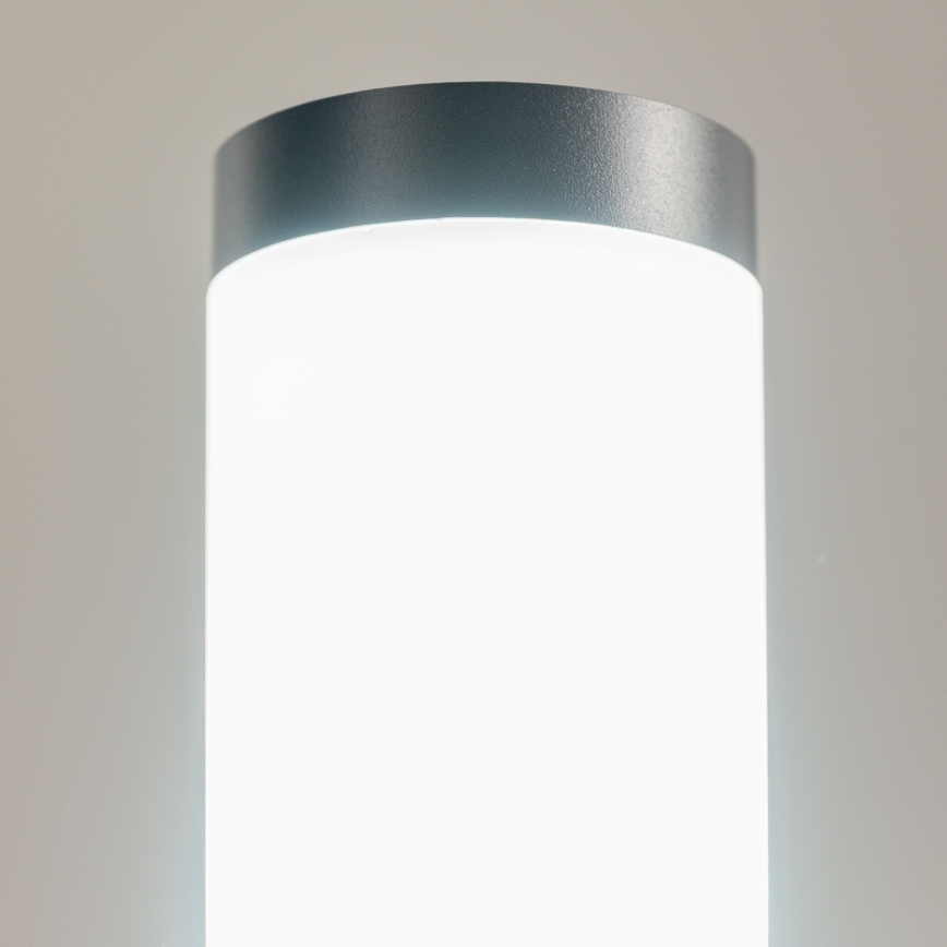 BRILAGI - LED RGBW stmievateľná vonkajšia lampa ELIA 1xE27/6,5W/230V 2700-6500K IP44 Wi-Fi 100 cm antracit