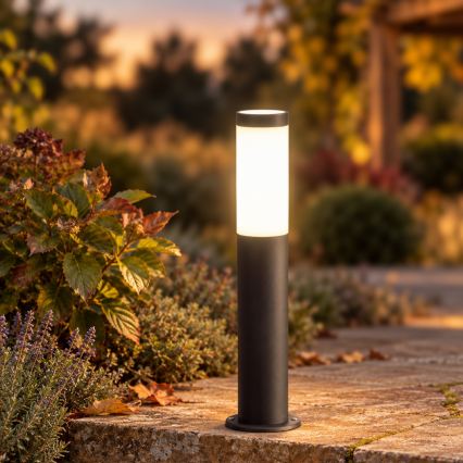 BRILAGI - LED RGBW Stmievateľná vonkajšia lampa ELIA 1xE27/6,5W/230V 2700-6500K IP44 Wi-Fi 50 cm antracit