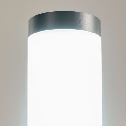 BRILAGI - LED RGBW Stmievateľná vonkajšia lampa ELIA 1xE27/6,5W/230V 2700-6500K IP44 Wi-Fi 50 cm antracit