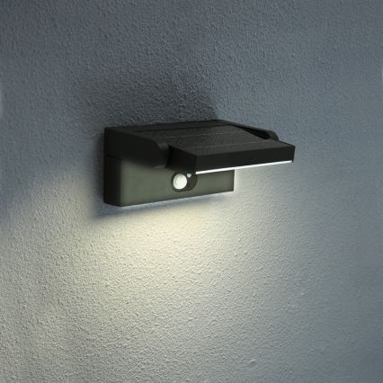 Brilagi - LED Solárne nástenné svietidlo so senzorom ANKLE LED/3,5W/3,7V 2200 mAh IP54