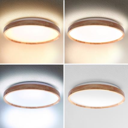 Brilagi - LED stmievateľné stropné svietidlo ALSON LED/48W/230V 3000-6500K dub pr. 39,5 cm + diaľkové ovládanie