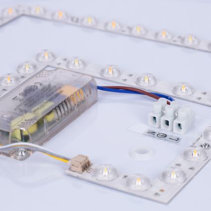 Brilagi - LED stmievateľné stropné svietidlo LUCIA LED/60W/230V 3000-6500K pr. 59 cm zelené + diaľkové ovládanie