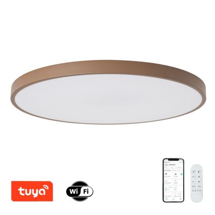 Brilagi - LED stmievateľné svietidlo POOL SMART LED/128W/230V pr. 100 cm 3000-6000K Wi-Fi Tuya + diaľkové ovládanie hnedá