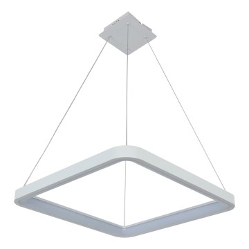 Brilagi - LED stlmiteľný luster na lanku FALCON SLIM LED/50W/230V 3000-6500K 50x50 cm biela + diaľkové ovládanie
