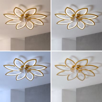 Brilagi - LED stmievateľný stropný ventilátor LED/43W/230V 3000-6500K priemer 90 cm zlatá + diaľkové ovládanie