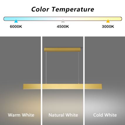 Brilagi - LED Stmievateľný luster na lanku SLIMLINE LED/40W/230V 3000-6000K zlatá + diaľkové ovládanie