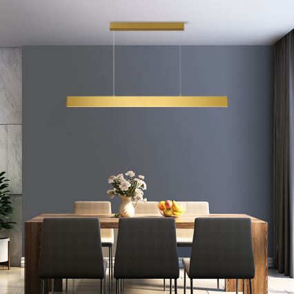 Brilagi - LED Stmievateľný luster na lanku SLIMLINE LED/40W/230V 3000-6000K zlatá + diaľkové ovládanie