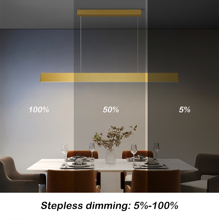 Brilagi - LED Stmievateľný luster na lanku SLIMLINE LED/40W/230V 3000-6000K zlatá + diaľkové ovládanie