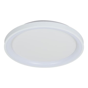 Brilagi - LED stmievané stropné svietidlo FALCON SLIM LED/42W/230V 3000-6500K priemer 50 cm biela + diaľkové ovládanie