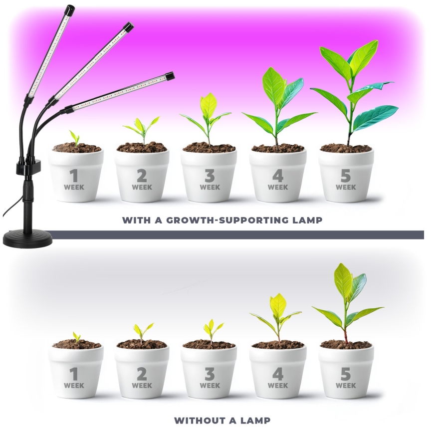 Brilagi - LED Stmievateľná flexibilná stolná lampa na pestovanie rastlín VITABLOOM 3xLED/10W/230V čierna