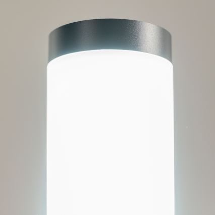 BRILAGI - LED stmievateľná vonkajšia lampa ELIA 1xE27/6W/230V 2700-6500K IP44 Wi-Fi 50 cm antracit