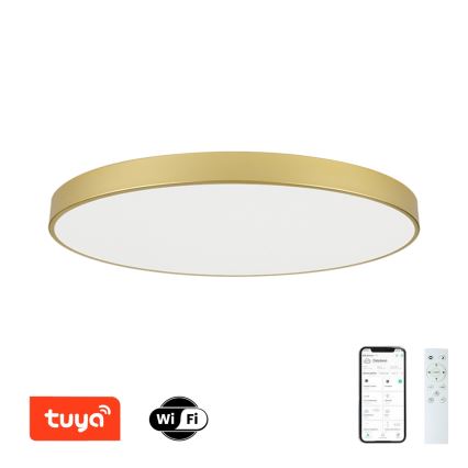 Brilagi - LED stmievateľné stropné svietidlo POOL SMART LED/180W/230V 3000-6000K 120 cm zlatá Wi-Fi Tuya + diaľkové ovládanie