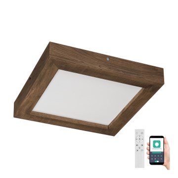 Brilagi - LED Stmievateľné kúpeľňové stropné svietidlo WOODY FRAME LED/24W/230V dub orech 30x30 cm 3000-6000K IP44 + diaľkové ovládanie