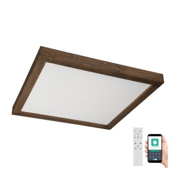 Brilagi - LED Stmievateľné kúpeľňové stropné svietidlo WOODY FRAME LED/50W/230V dub 60x60 cm 3000-6000K IP44 + diaľkové ovládanie