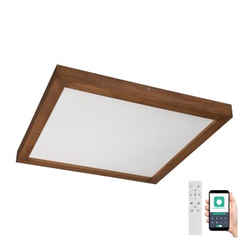 Brilagi - LED Stmievateľné kúpeľňové stropné svietidlo WOODY FRAME LED/50W/230V dub čerešňa 60x60 cm 3000-6000K IP44 + diaľkové ovládanie