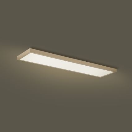 Brilagi - LED Stmievateľné kúpeľňové stropné svietidlo FRAME SMART LED/50W/230V 120x30 cm 3000-6000K IP44 béžová + diaľkové ovládanie