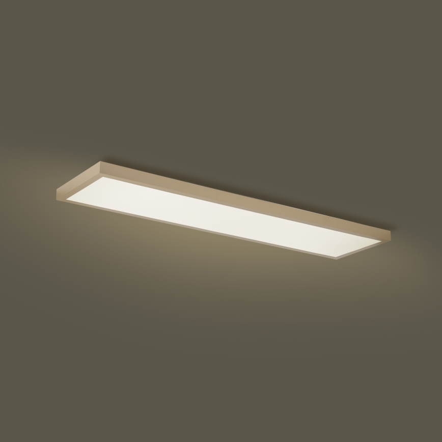 Brilagi - LED Stmievateľné kúpeľňové stropné svietidlo FRAME SMART LED/50W/230V 120x30 cm 3000-6000K IP44 béžová + diaľkové ovládanie
