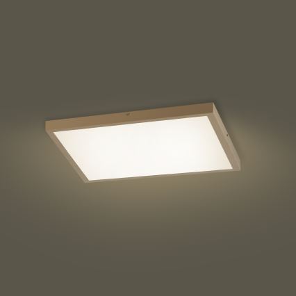 Brilagi - LED stmievateľné kúpeľňové stropné svietidlo FRAME SMART LED/50W/230V 60x60 cm 3000-6000K IP44 béžové + diaľkové ovládanie