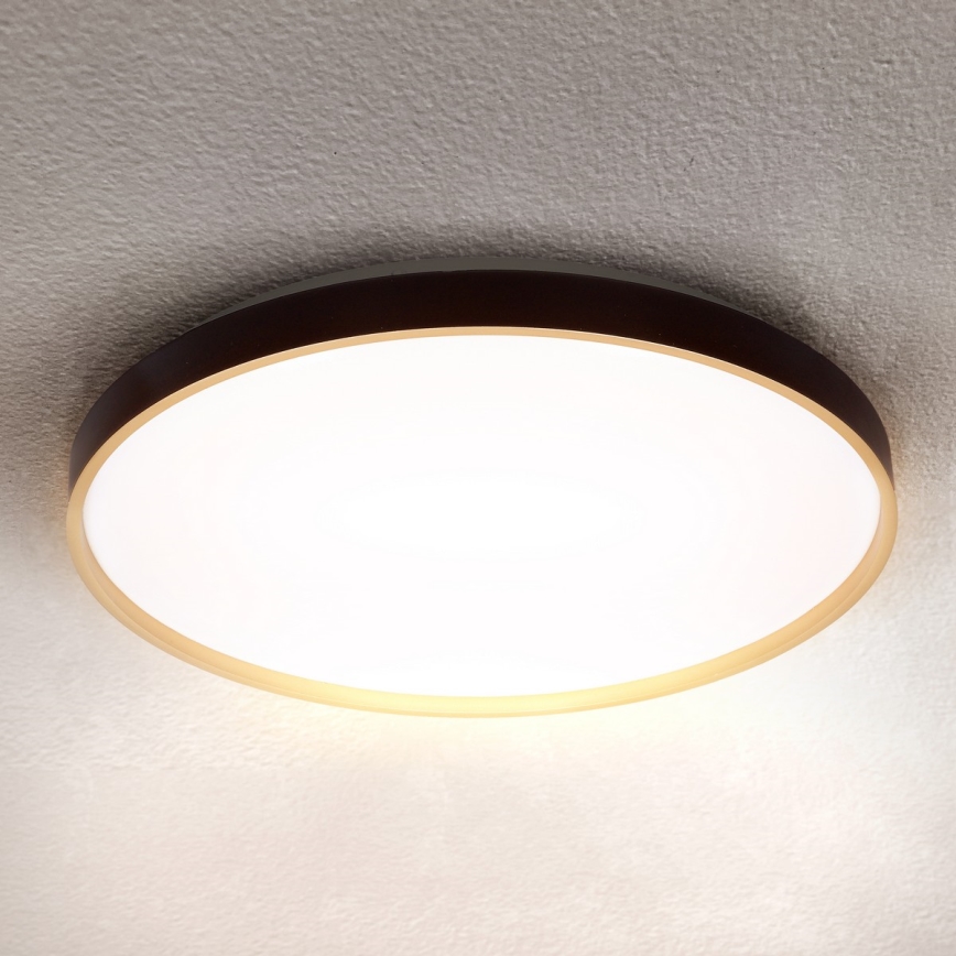 Brilagi - stmievateľné LED stropné svietidlo CALA LED/60W/230V 3000-6500K pr. 58 cm + diaľkové ovládanie