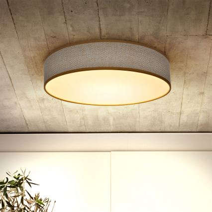 Brilagi - LED Stmievateľné stropné svietidlo CARMEN LED/48W/230V 3000-6500K pr. 40 cm + diaľkové ovládanie