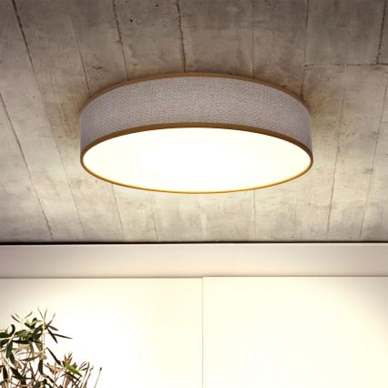 Brilagi - LED Stmievateľné stropné svietidlo CARMEN LED/48W/230V 3000-6500K pr. 40 cm + diaľkové ovládanie
