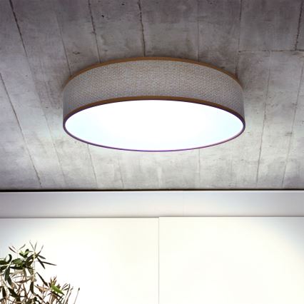 Brilagi - LED Stmievateľné stropné svietidlo CARMEN LED/48W/230V 3000-6500K pr. 40 cm + diaľkové ovládanie