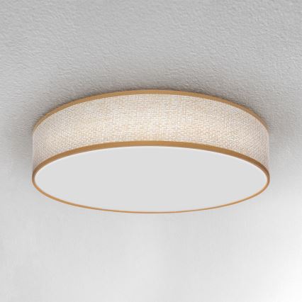 Brilagi - LED Stmievateľné stropné svietidlo CARMEN LED/48W/230V 3000-6500K pr. 40 cm + diaľkové ovládanie
