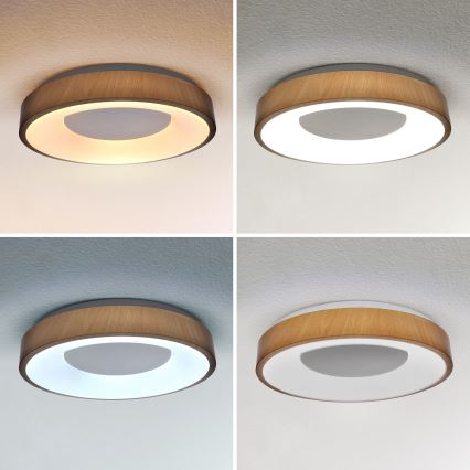 Brilagi - LED Stmievateľné stropné svietidlo DORIA LED/48W/230V 3000-6500K pr. 39 cm + diaľkové ovládanie