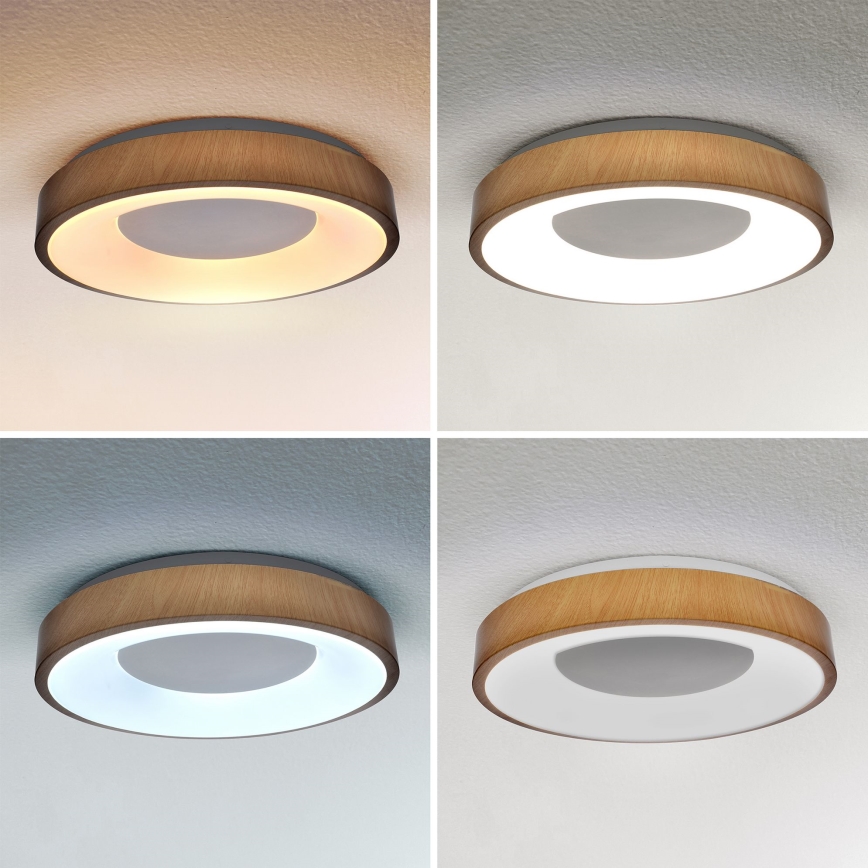Brilagi - LED Stmievateľné stropné svietidlo DORIA LED/48W/230V 3000-6500K pr. 39 cm + diaľkové ovládanie