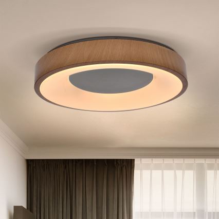 Brilagi - LED Stmievateľné stropné svietidlo DORIA LED/48W/230V 3000-6500K pr. 39 cm + diaľkové ovládanie
