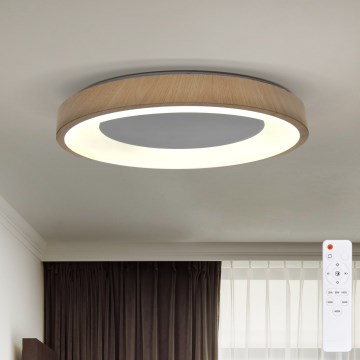 Brilagi - LED stmievateľné stropné svietidlo DORIA LED/60W/230V 3000-6500K priemer 60 cm + diaľkové ovládanie