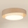Brilagi - LED Stmievateľné stropné svietidlo DOVER SHINE LED/24W/230V 3000/4000/6500K šedá/krémová + diaľkové ovládanie
