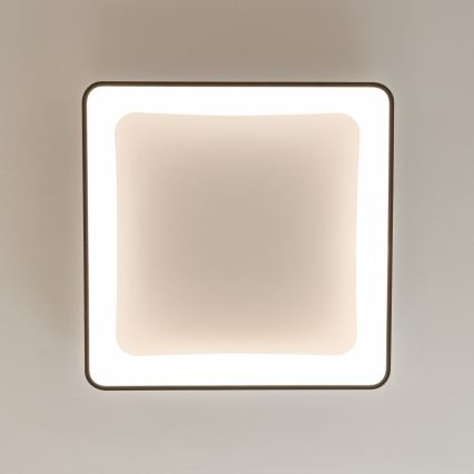 Brilagi - Stmievateľné LED stropné svietidlo FALCON II LED/125W/230V 3000-6500K 60x60 cm čierne + diaľkové ovládanie