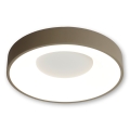 BRILAGI - LED Stmievateľné stropné svietidlo FALCON II LED/67W/230V 3000-6500K pr. 40 cm biela/béžová + diaľkové ovládanie