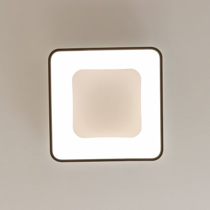 Brilagi - Stmievateľné LED stropné svietidlo FALCON II LED/80W/230V 3000-6500K 40x40 cm čierne + diaľkové ovládanie