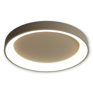 BRILAGI - LED Stmievateľné stropné svietidlo FALCON II LED/99W/230V 3000-6500K pr. 60 cm béžová + diaľkové ovládanie