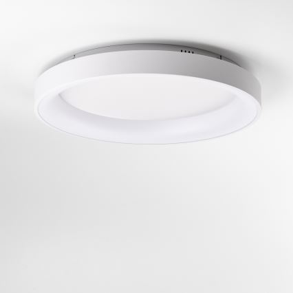 Brilagi - LED stmievateľné stropné svietidlo FALCON II LED/99W/230V 3000-6500K pr. 60 cm biela + diaľkové ovládanie