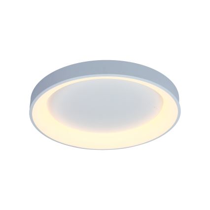 Brilagi - LED stmievateľné stropné svietidlo FALCON II LED/99W/230V 3000-6500K priemer 60 cm biele + diaľkové ovládanie