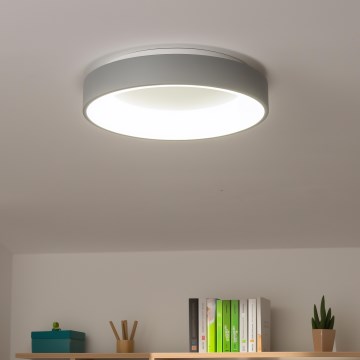 Brilagi - LED stmievateľné stropné svietidlo FALCON LED/40W/230V 3000-6500K, priemer 45 cm, sivé + diaľkové ovládanie