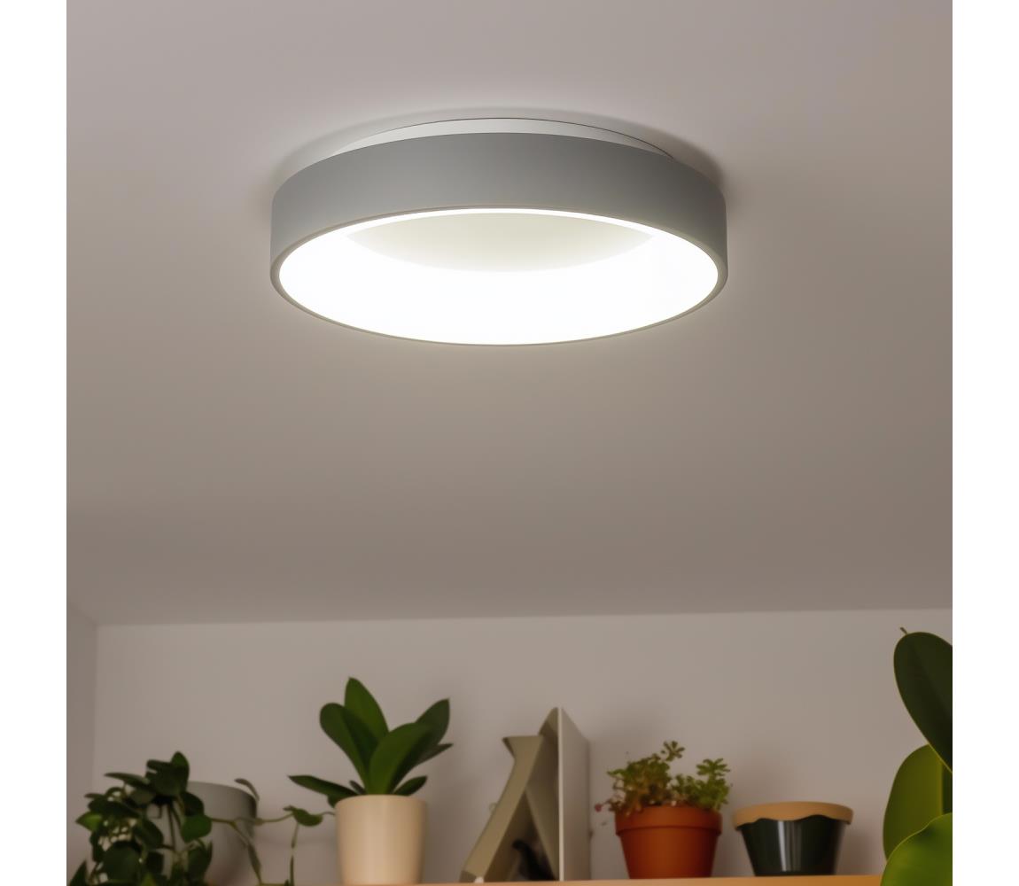 Brilagi - LED Stmievateľné stropné svietidlo FALCON LED/80W/230V 3000-6500K + diaľkové ovládanie BRKL01R-80W/LED-SED