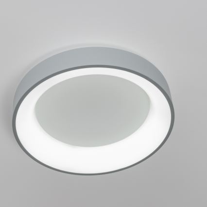 Brilagi - Stmievateľné LED stropné svietidlo FALCON LED/80W/230V 3000-6500K priemer 60 cm šedá + diaľkové ovládanie