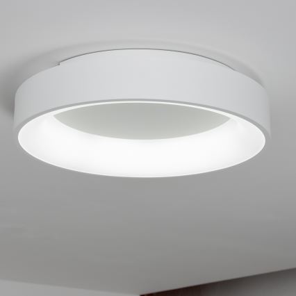 Brilagi - LED stmievateľné stropné svietidlo FALCON LED/80W/230V 3000-6500K pr. 60 cm biela + diaľkové ovládanie