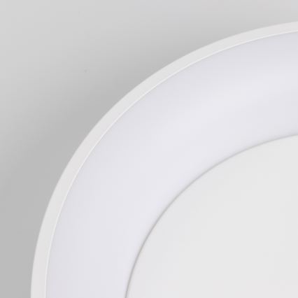 Brilagi - LED Stmievateľné stropné svietidlo FALCON LED/80W/230V 3000-6500K pr. 60 cm biela + diaľkové ovládanie
