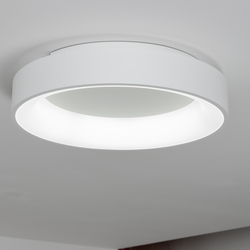 Brilagi - LED Stmievateľné stropné svietidlo FALCON LED/80W/230V 3000-6500K pr. 60 cm biela + diaľkové ovládanie